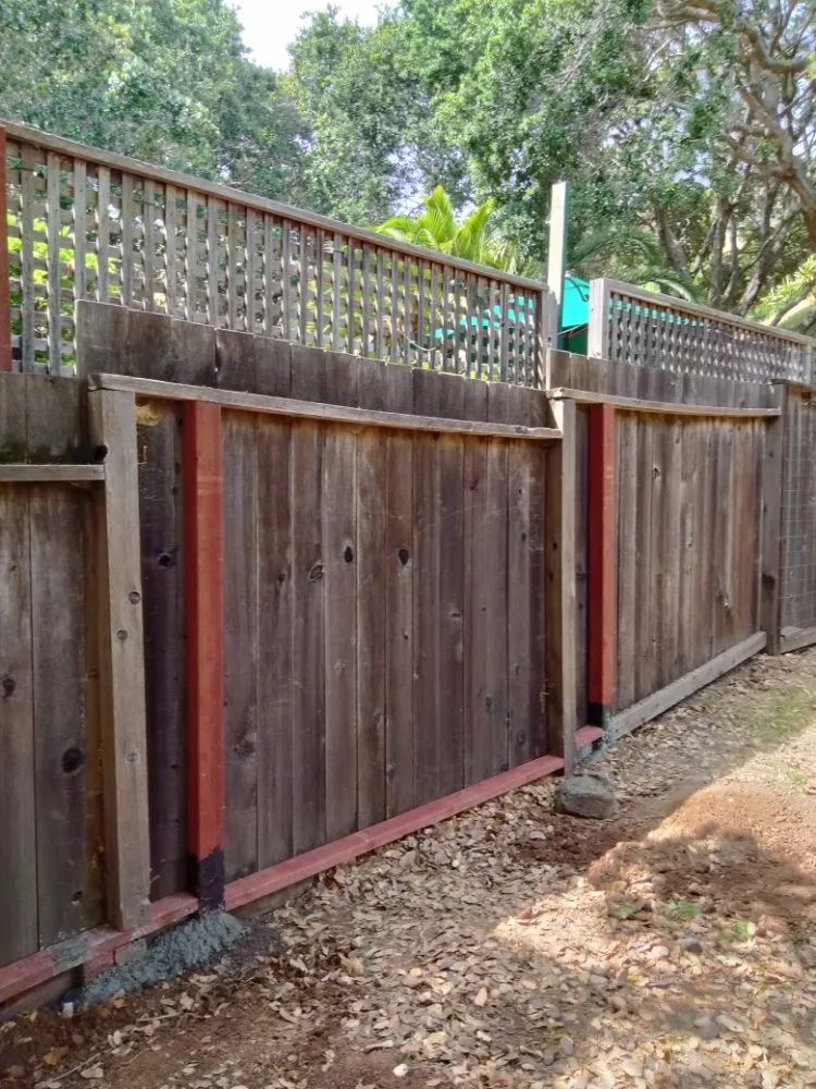 Slide of Rigo's Handyman