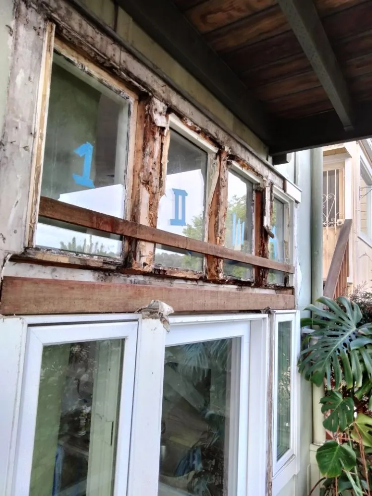 Slide of Rigo's Handyman