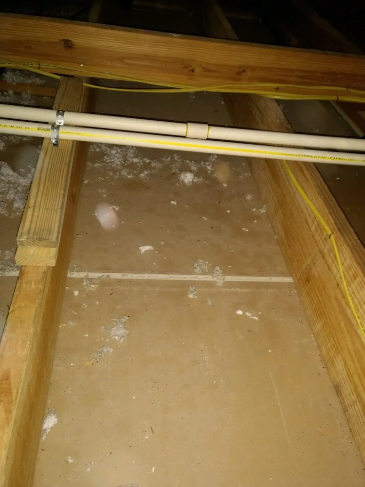 Slide of Rikman Services