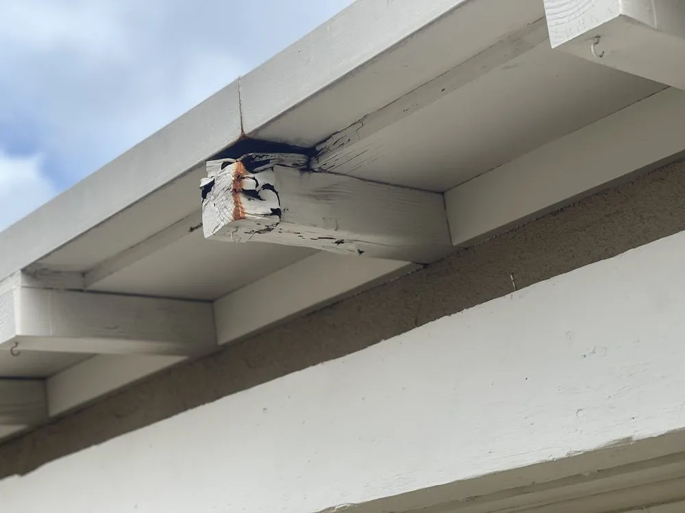 Slide of Rios Agustin