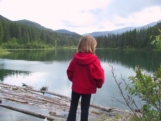 Ripley Plumbing Logo