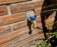 Slide of Riptide Plumbing