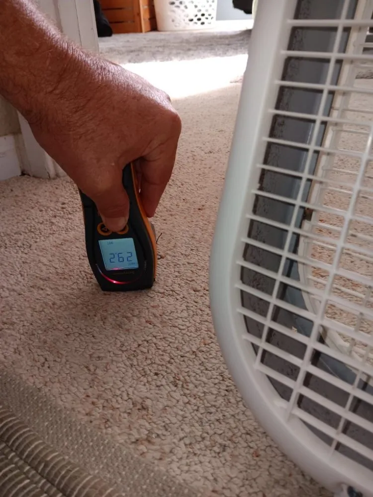 Slide of Risk Free Services