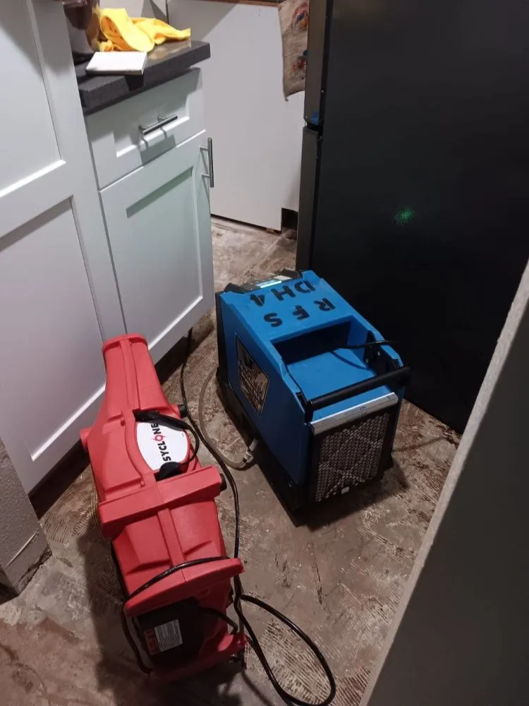 Slide of Risk Free Services