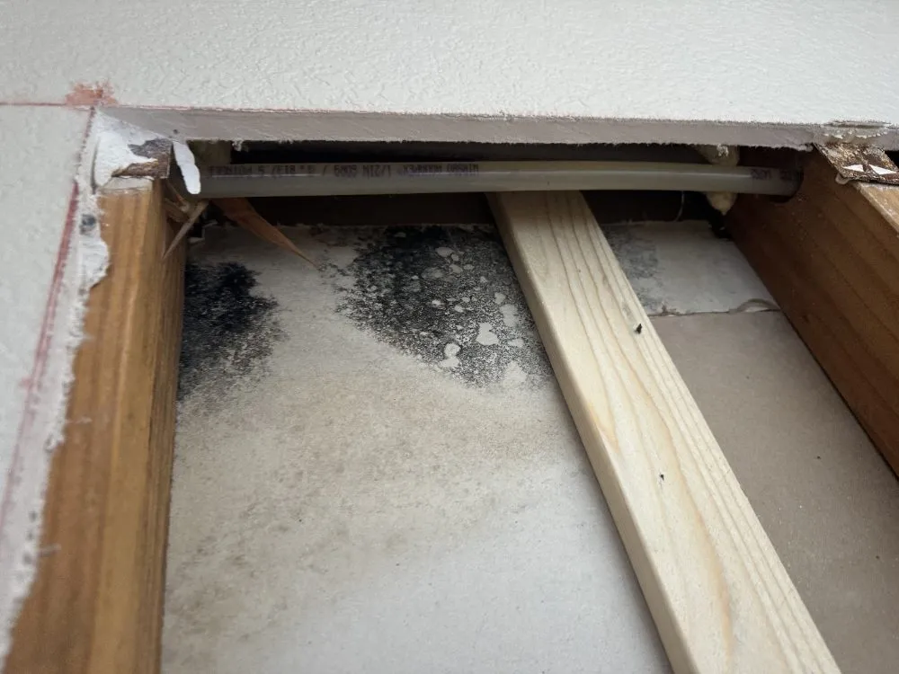 Slide of Risk Free Services