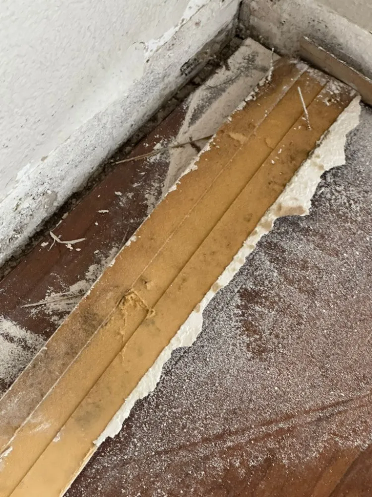 Slide of Risk Free Services