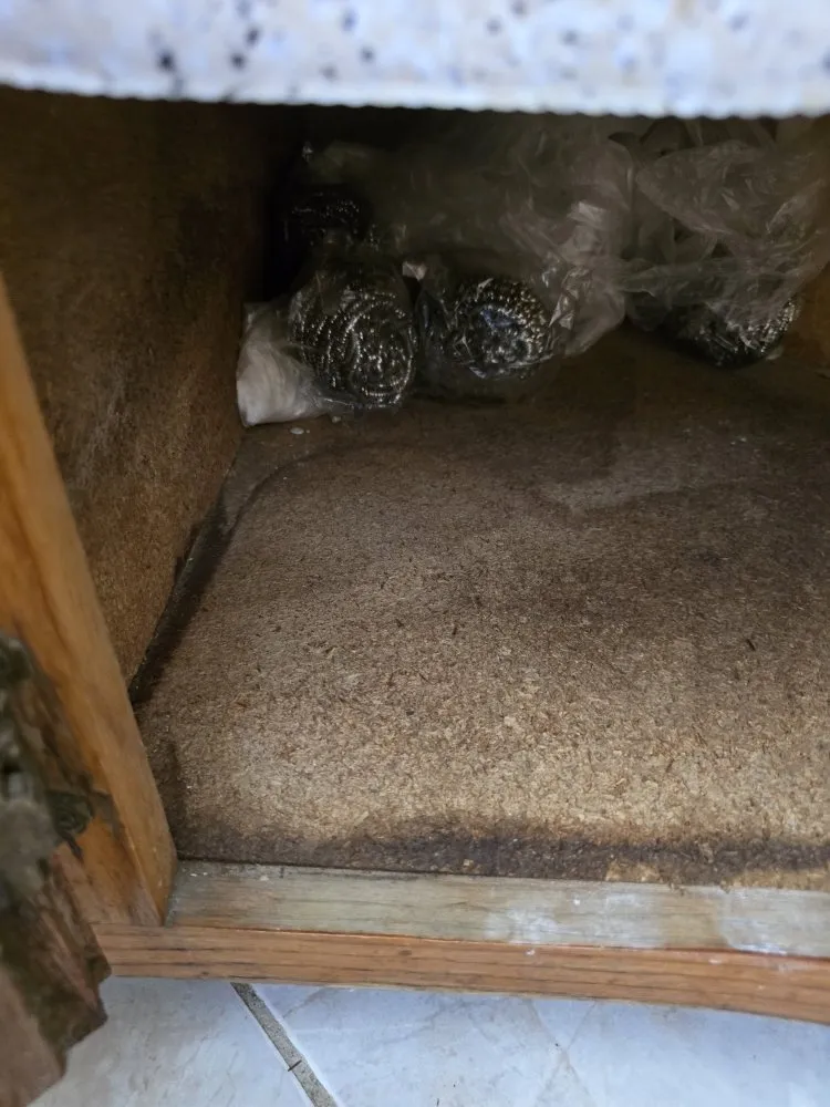 Slide of Risk Free Services