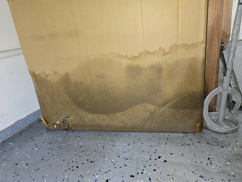 Slide of Risk Free Services