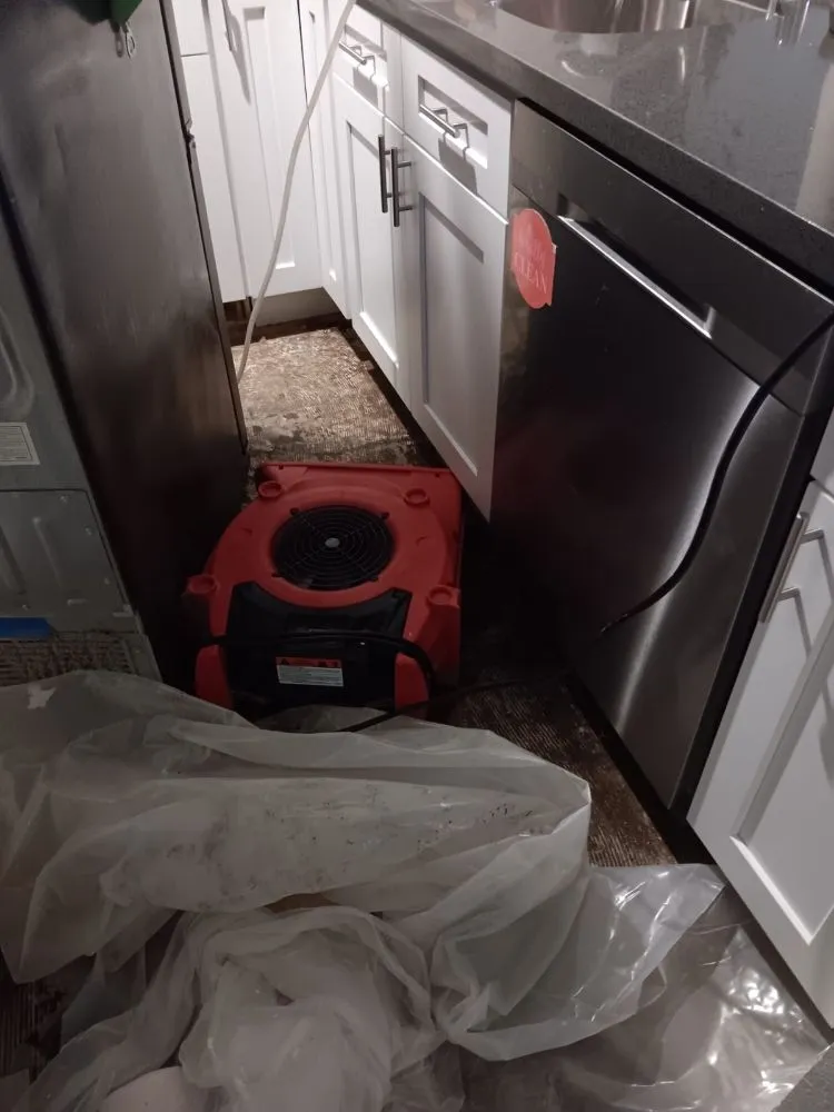 Slide of Risk Free Services