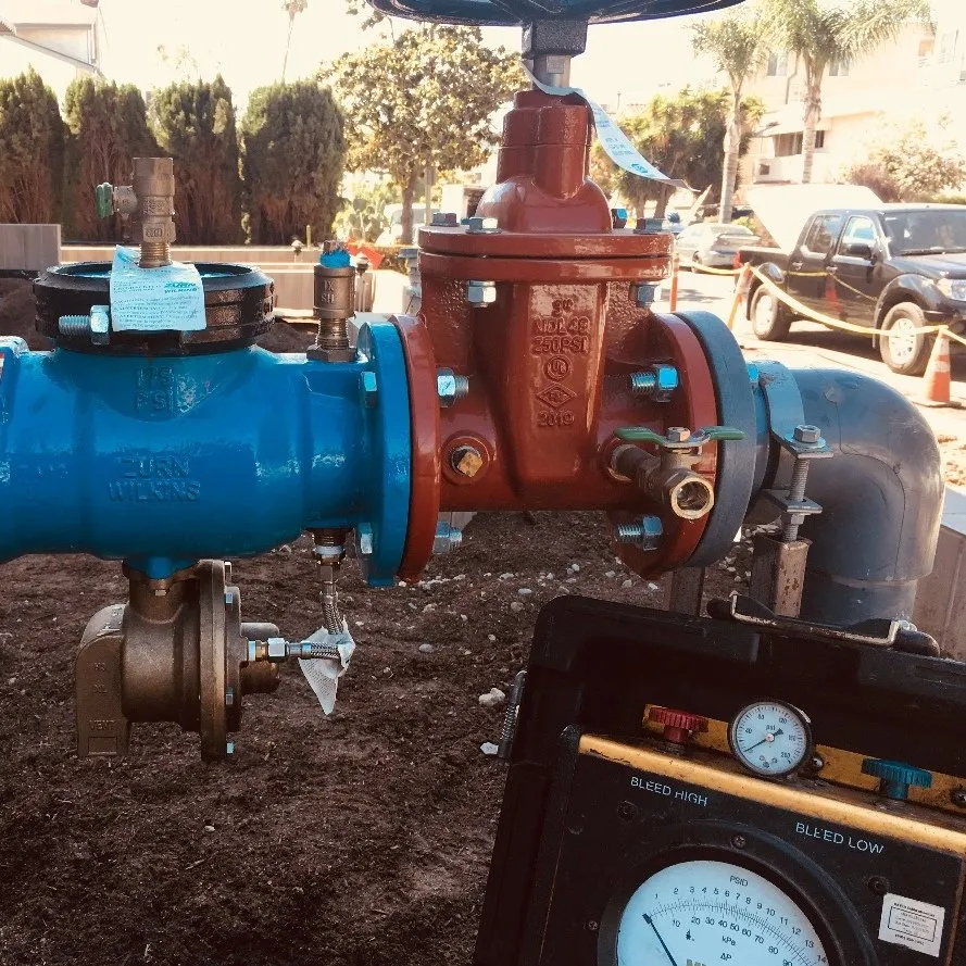 Slide of Rivas Backflow Testing