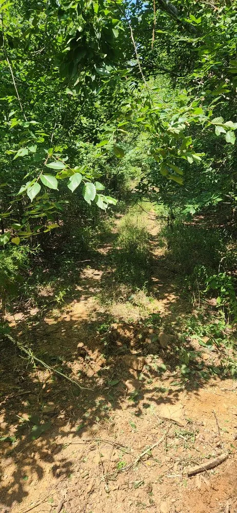 Slide of River Valley Landworx