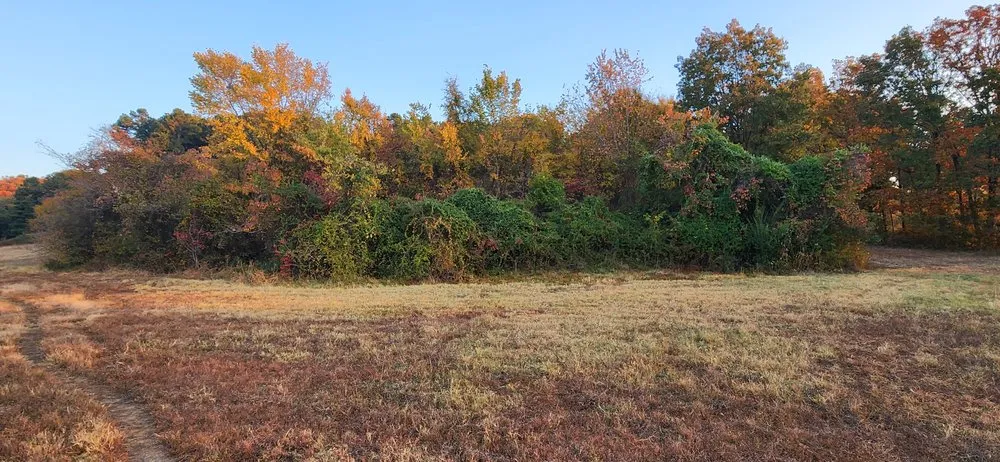 Slide of River Valley Landworx