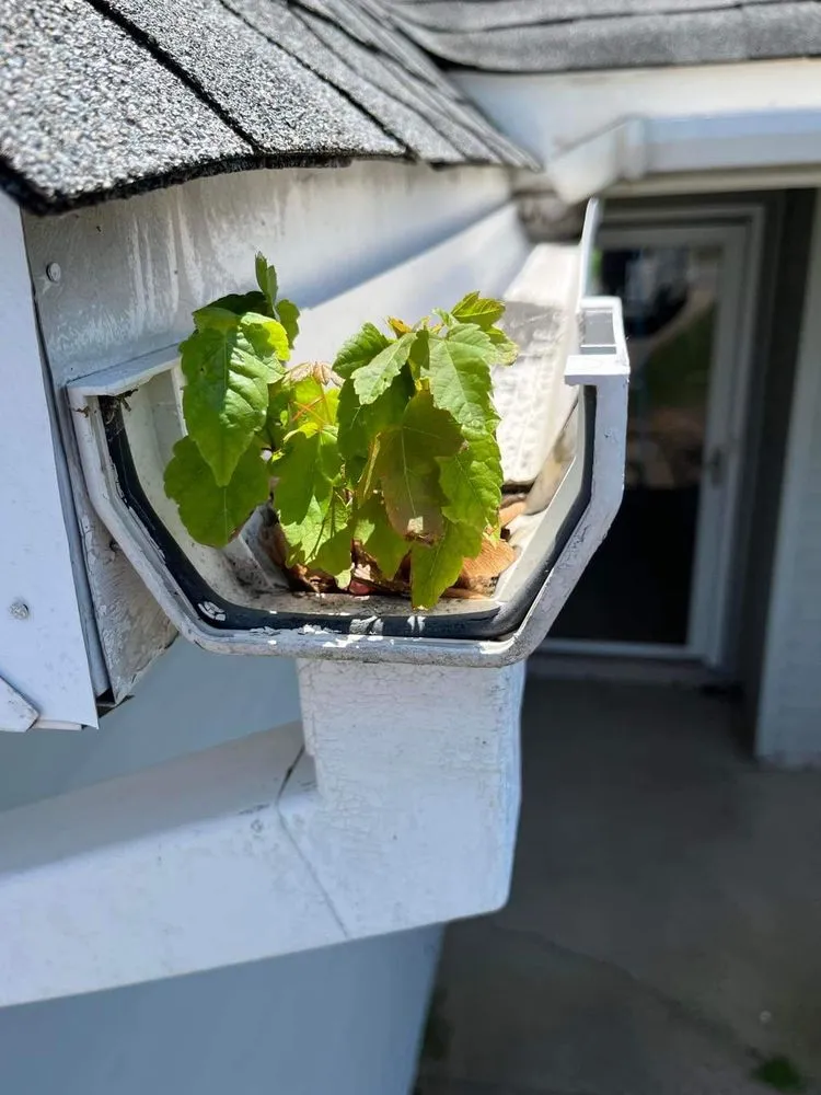 Top-rated plumbing repair for homes in Virginia Beach, VA by Rivera's Home Improvement