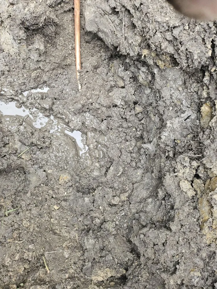 Slide of RJ Morris Pro Sewer