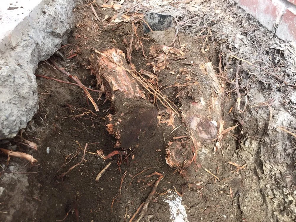 Expert water heater service experts serving Garden Grove, CA - RK Plumbing Heating Air Conditioning