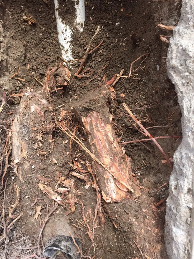 Reliable leak detection experts serving Garden Grove, CA - RK Plumbing Heating Air Conditioning