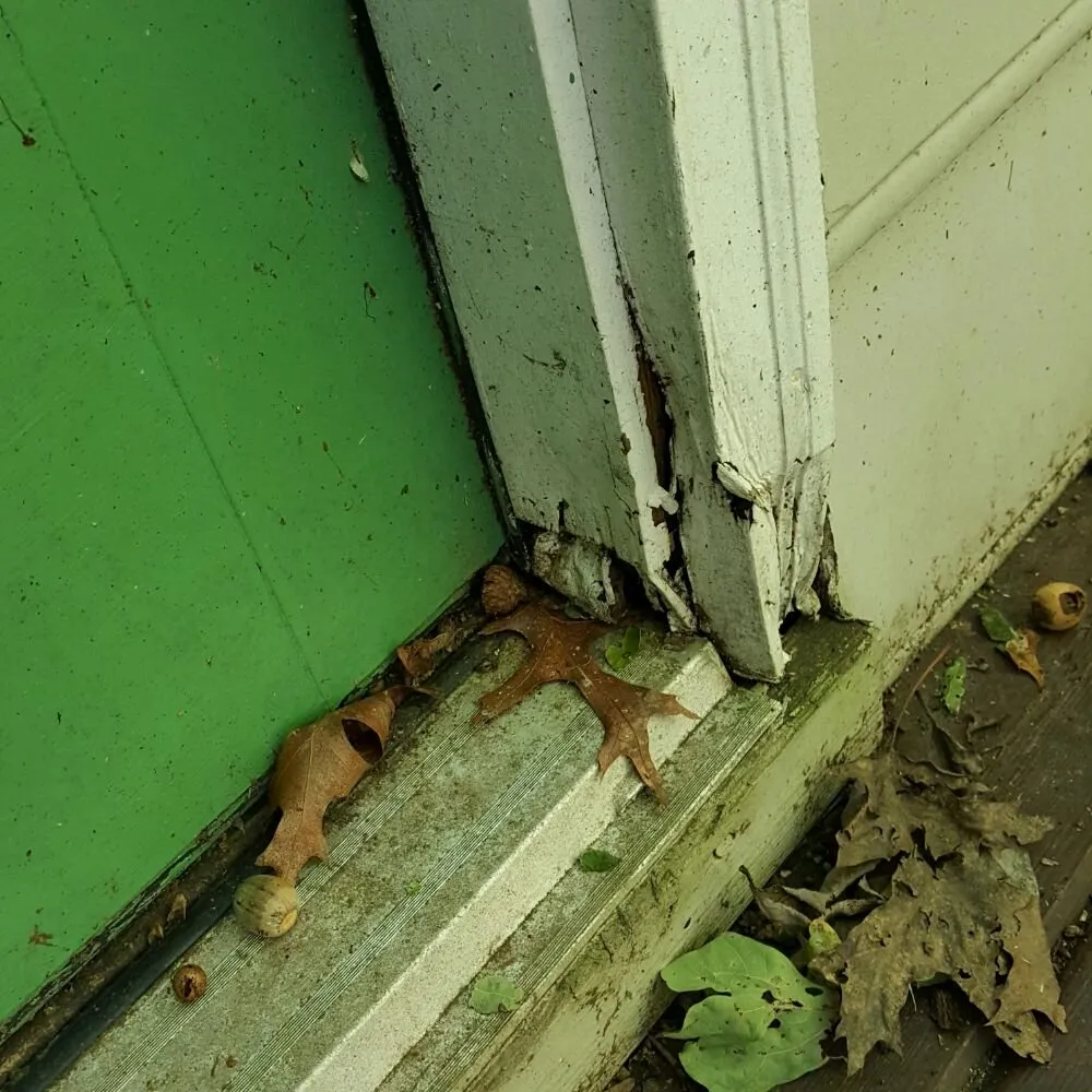 Top-rated leak detection for homes in Moseley, VA by RL Handyman Solutions