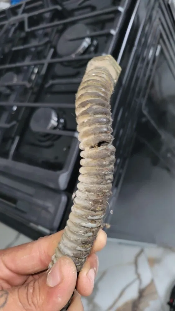 Slide of RM handyman services