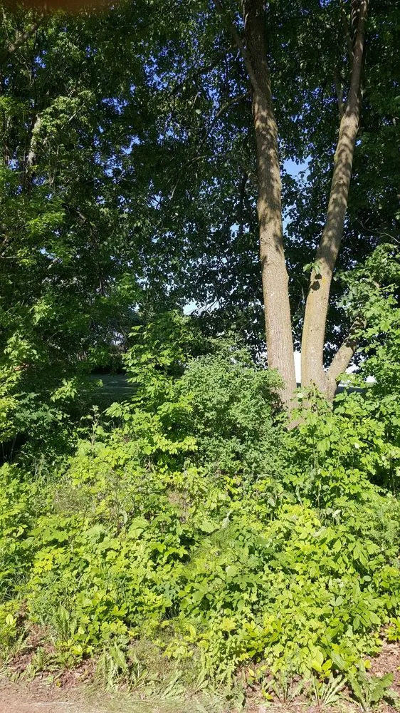 Expert leak detection service in Peshtigo, WI - Road King Excavating