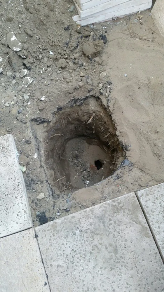 Slide of ROADRUNNER PLUMBING