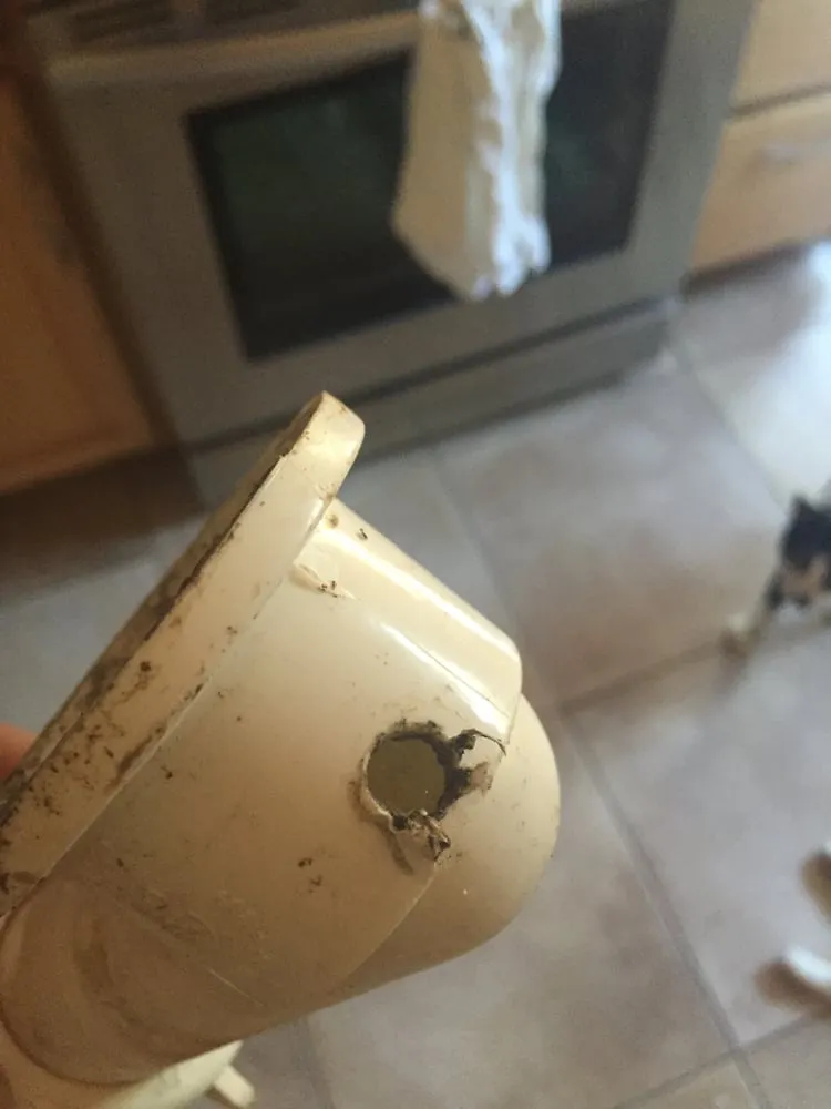 Slide of Robby's Rooter