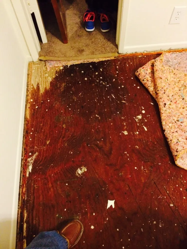 Slide of Robby's Rooter