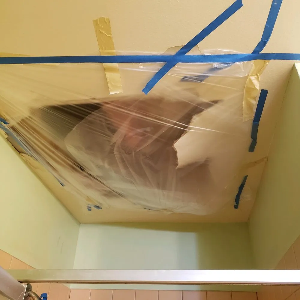 Slide of Robby's Rooter