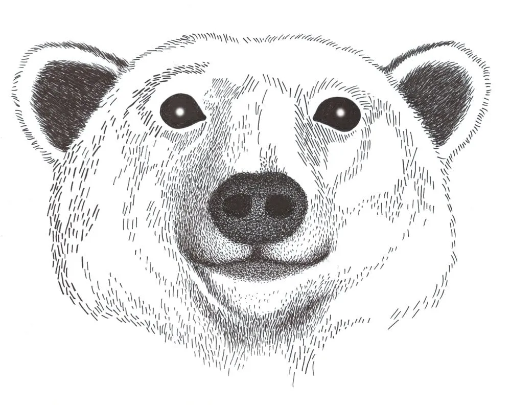 Slide of Robert Bair Plumbing Heating & Air