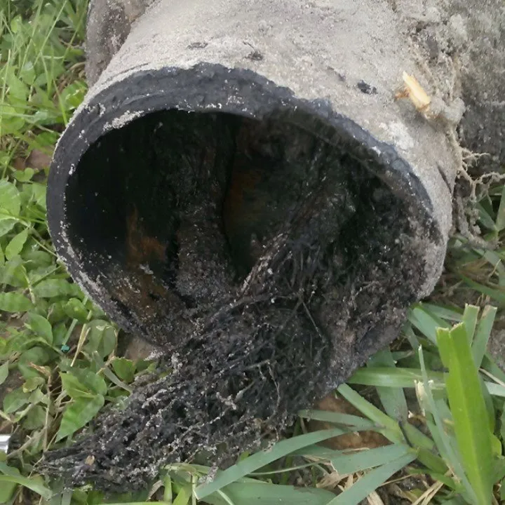 Professional plumbing repair experts serving Winter Haven, FL - Robert L Phillips Plumbing