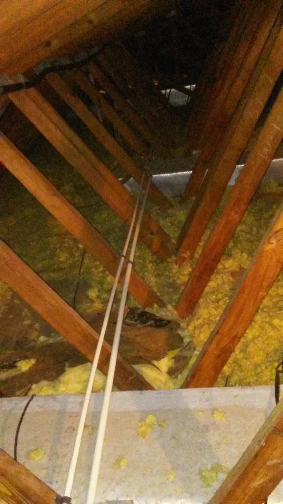 Slide of Robert L Phillips Plumbing