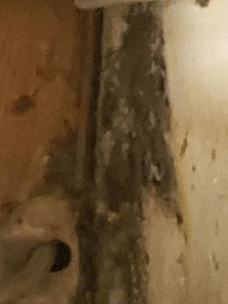 Reliable emergency plumbing service in Farmington, MO - Roberts Handyman & Contracting