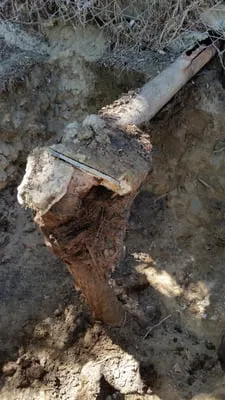 Roberts Plumbing Hydro Jet and Rooter