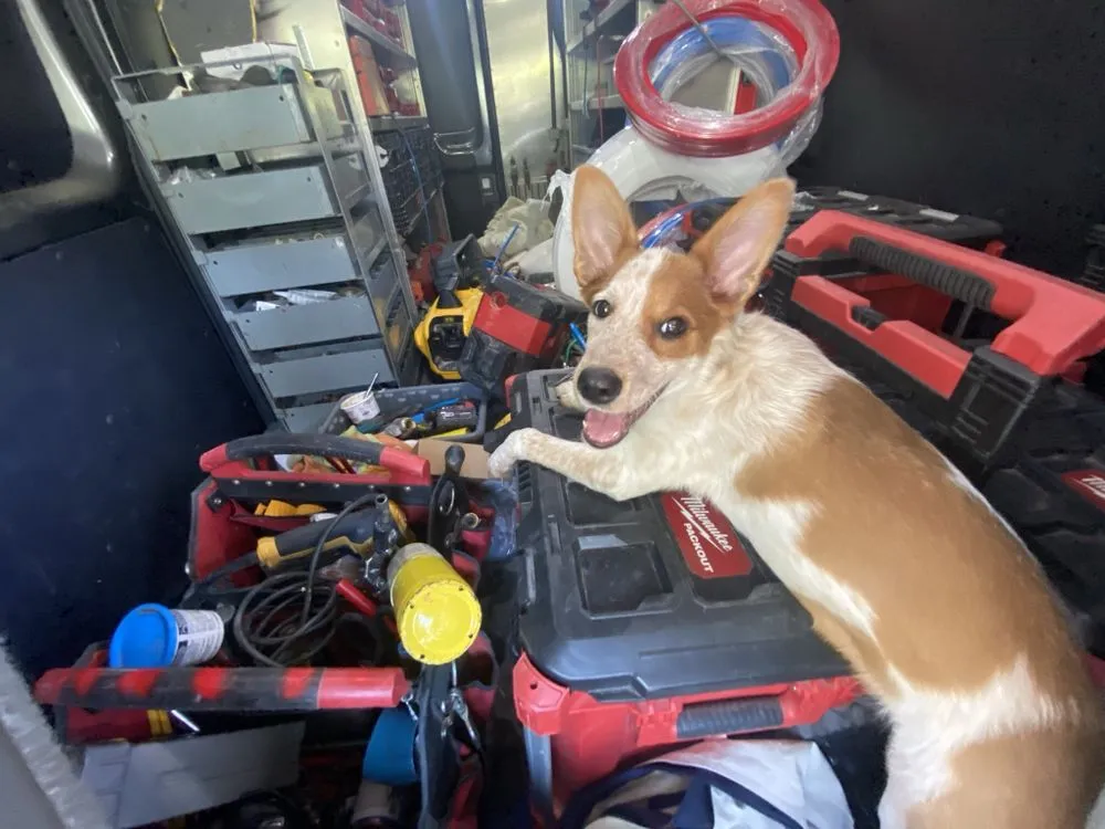 Slide of Robertson Plumbing Services