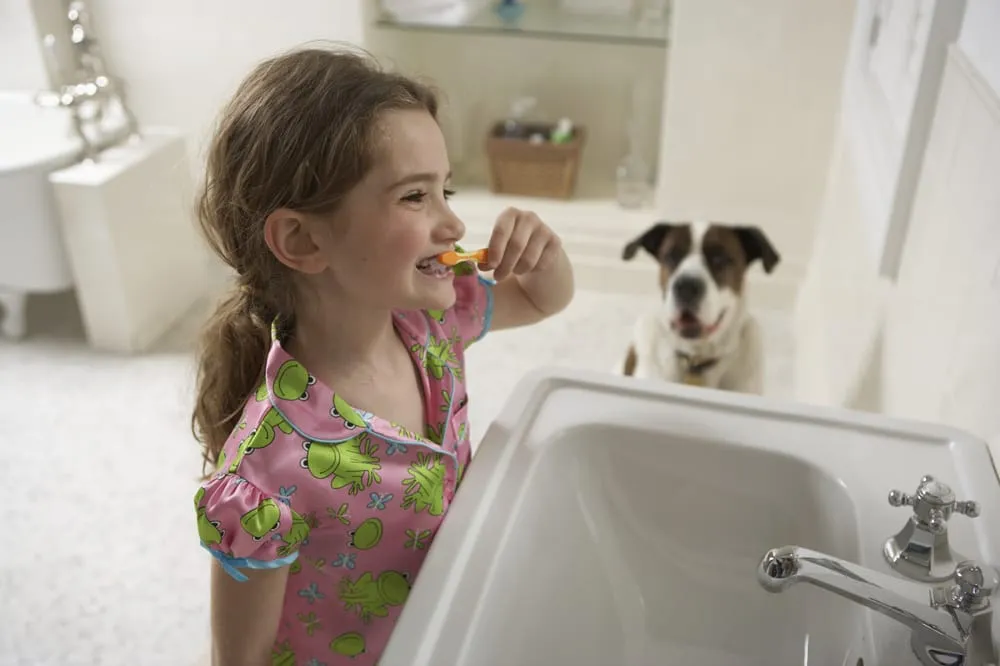 Affordable drain cleaning for homes in Maple Grove, MN by Robillard Plumbing
