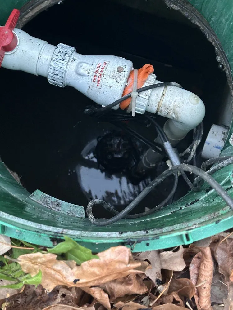 Slide of Robinson And Family
