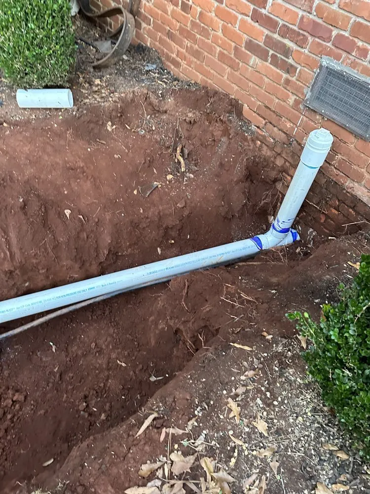 Slide of Robinson And Family