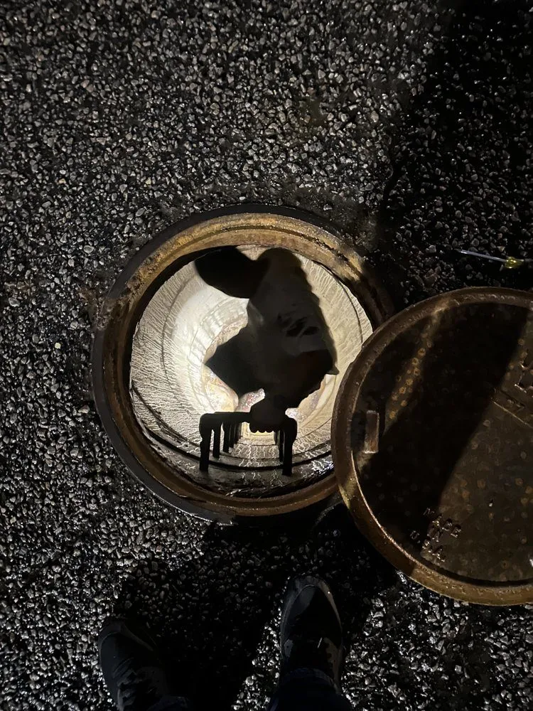 Slide of Robinson And Family