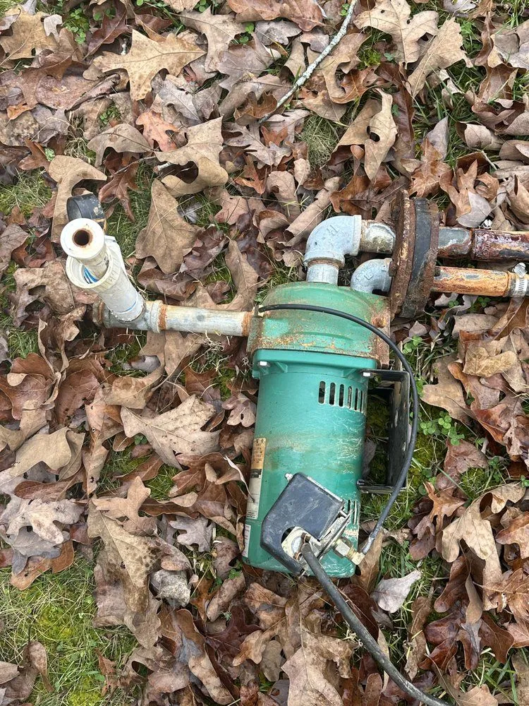 Slide of Robinson And Family