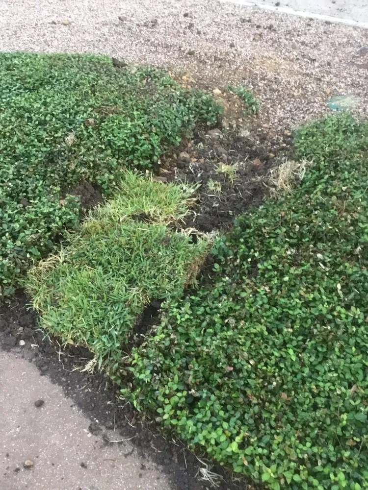 Slide of Robles & Sons Plumbing