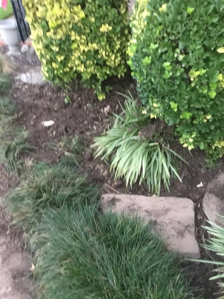 Slide of Robles & Sons Plumbing