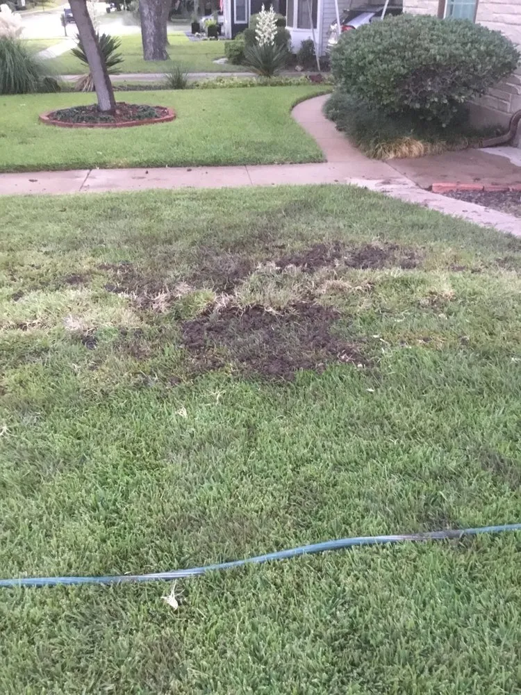 Professional plumbing repair in Fort Worth, TX by Robles & Sons Plumbing