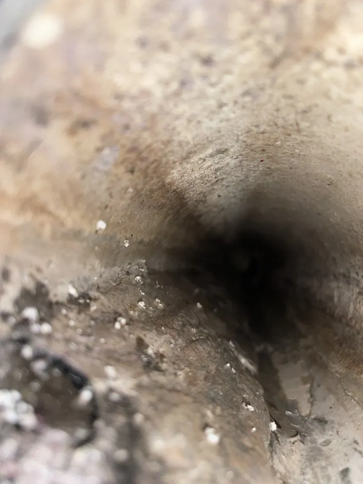 Quality pipe repair in St. Petersburg, FL by Robo  Home Service and Drain Clean