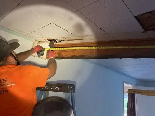 Rochas Integrity Plumbing Logo