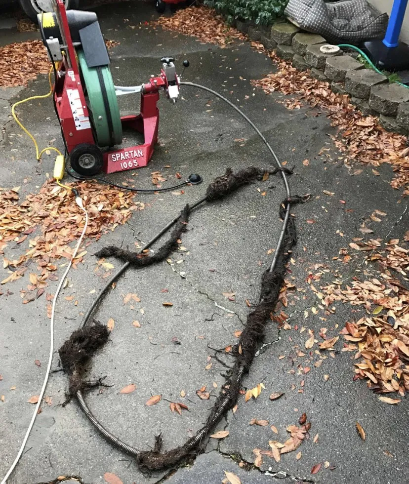 Slide of Rocket Rooter