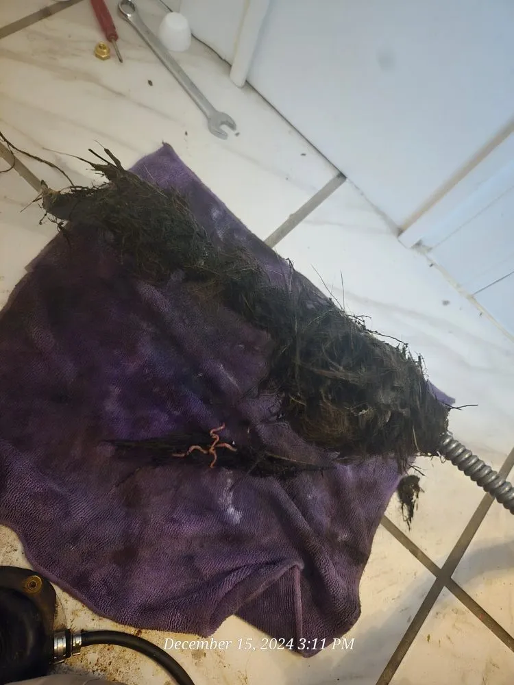 Slide of Rockin Rooter