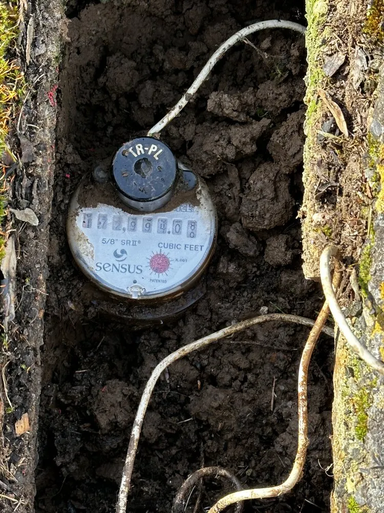 Slide of Rocksteady Plumbing