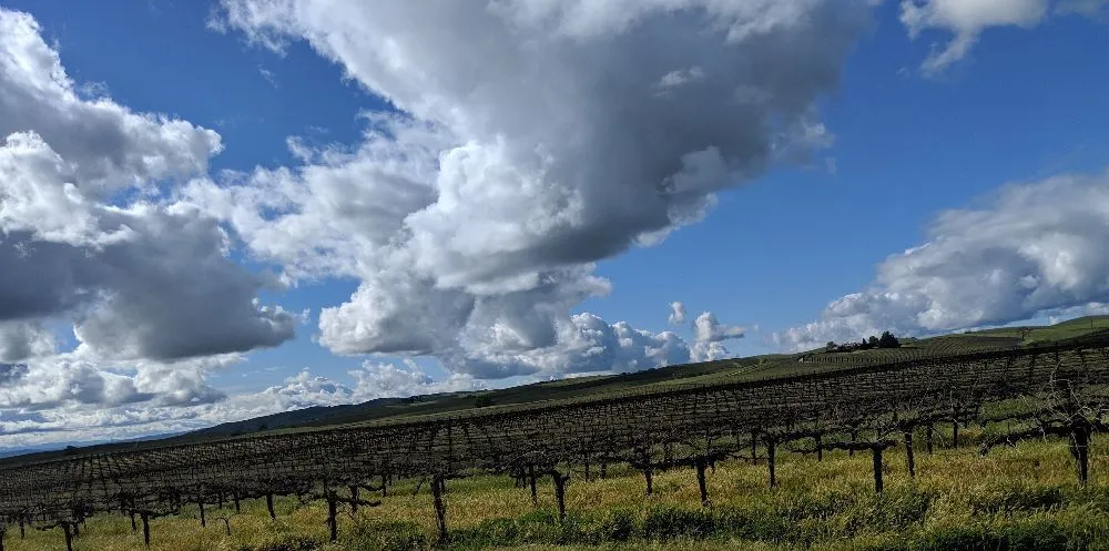 Emergency plumbing repair service in Paso Robles, CA - Rocksteady Plumbing