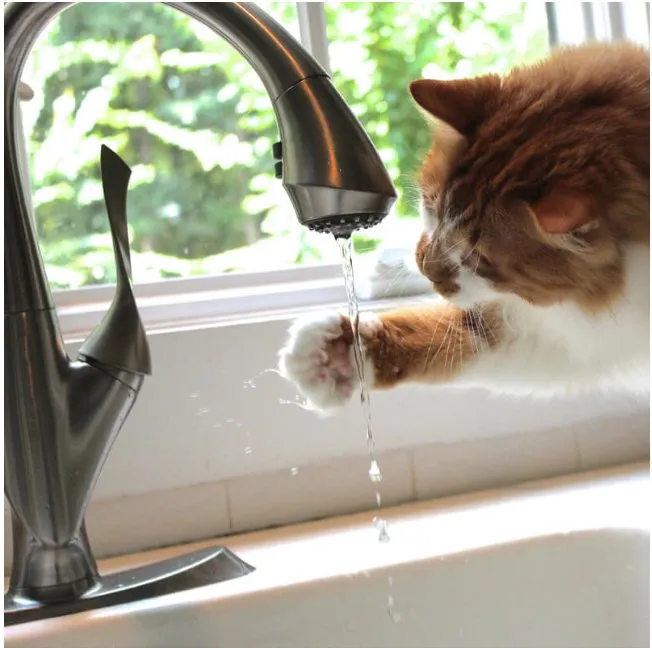 Slide of Rocky Point Plumbing