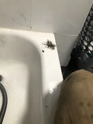 Rocky River Plumbing Logo