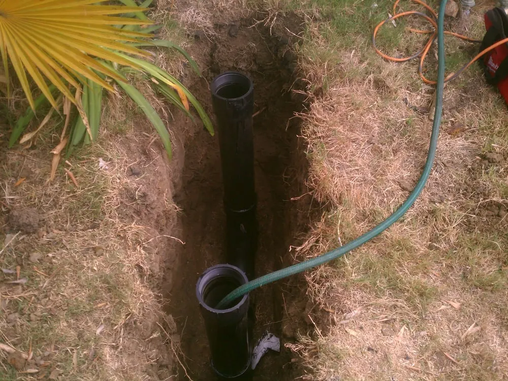 Slide of Rocky Rooter